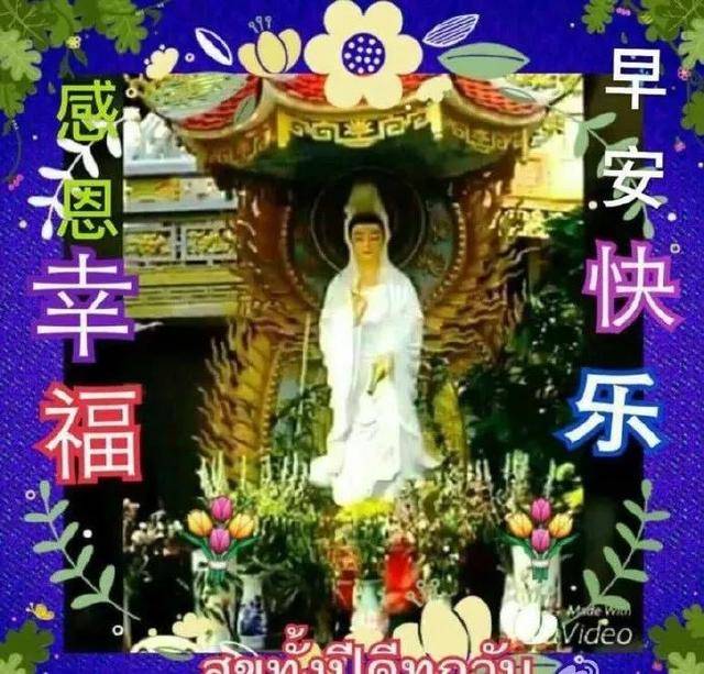 夏天养生防暑的早安问候祝福句子,夏季愿朋友快乐安康