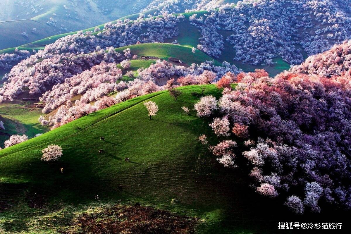 那拉提草原