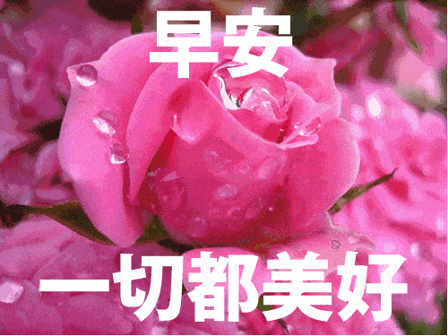 漂亮的早晨,灿烂的你,完美的生活在等你!早上好祝福语句图片大全