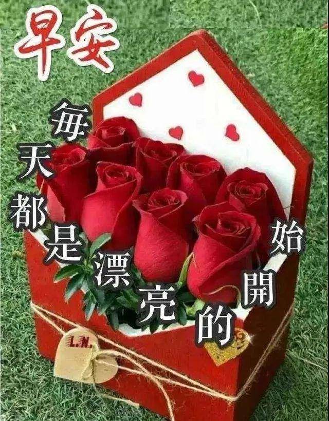 朋友圈早上好唯美表情祝福美图 暖心早上好问候语简短