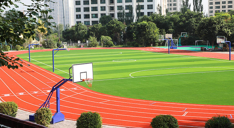 又一批高颜值中小学操场闪亮登场多利隆校园运动草坪