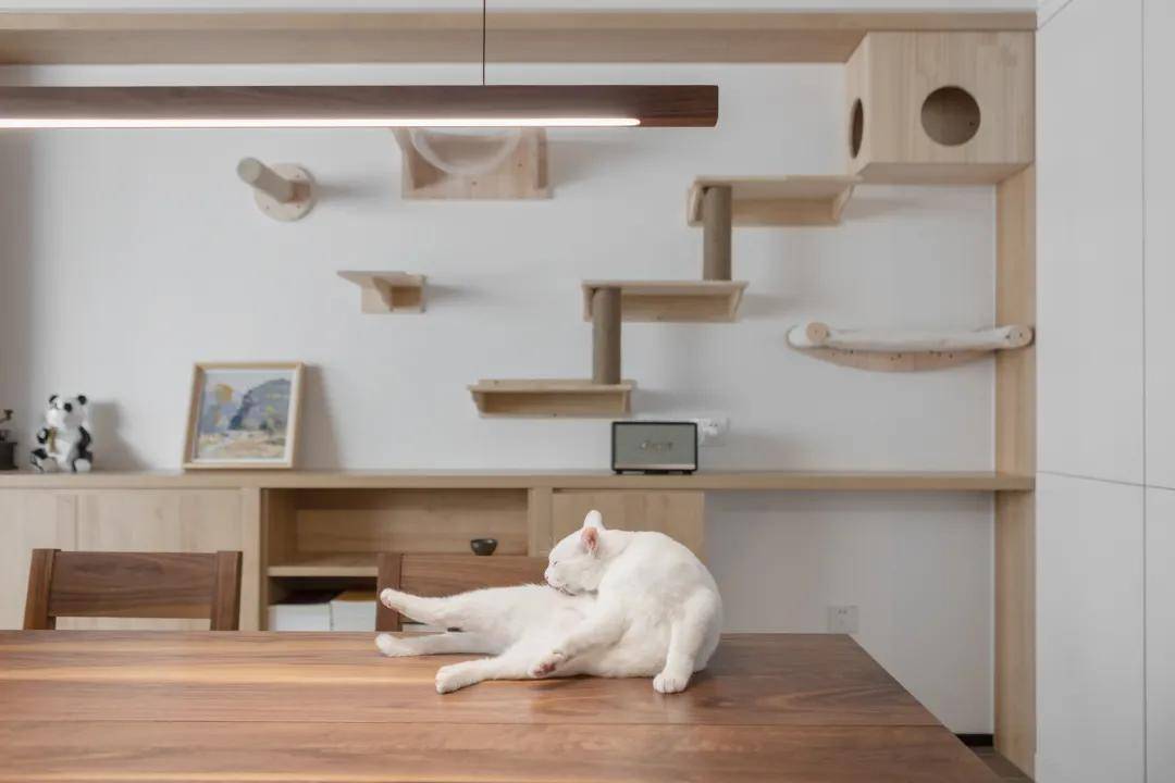 餐桌一侧墙面设置 猫爬架,打造喵星人的快乐小天地,下方兼具餐边柜