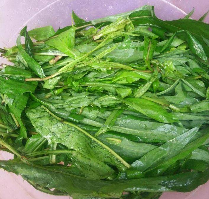 原创这野菜很多人瞧不上换个花样做全家人爱吃趁热食用可散热除寒