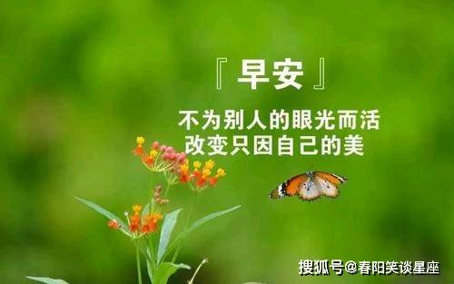 早安心语阳光唯美的句子,送给热爱生活的你,早上好!