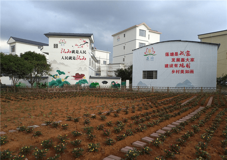 团来到临桂荔浦市,采访该市高效推进乡村风貌改造和人居环境的改善