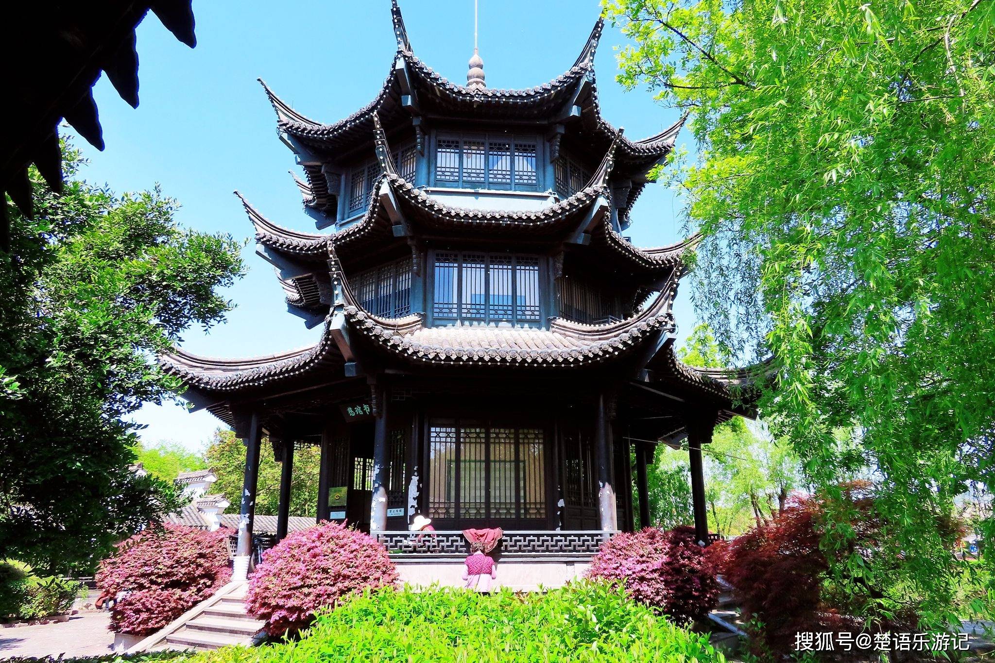 慈城有个被忽略的景点,像一个小"绿肺",林中藏着一个美丽书房