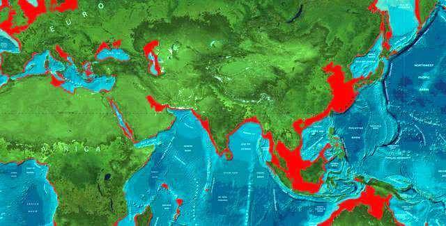 科学家预测第四纪冰期在距今240万年前,大概每10万年冰期和间冰期就会