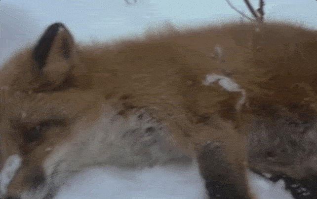 642_404gif 动态图 动图