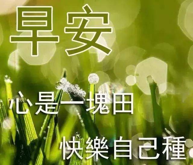 8张最新春天早安问好图片带字带祝福语 微信群发春天暖心的早上好祝福