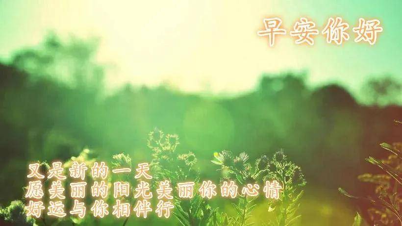 8张最新春天早安问好图片带字带祝福语 微信群发春天暖心的早上好祝福