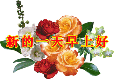 早上好的短句子 早上好表情 早上好问候专辑 早上好表情包