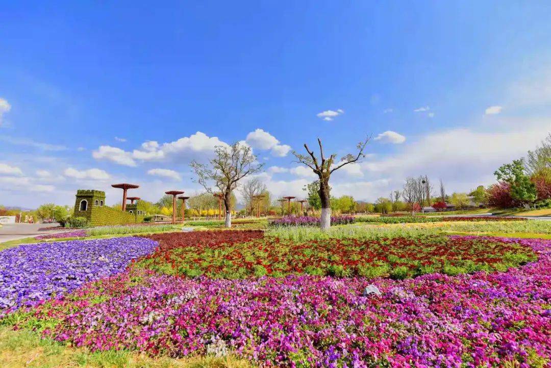 "绿色生活 美丽家园"第二届北京国际花园节开幕,这样的延庆有点美