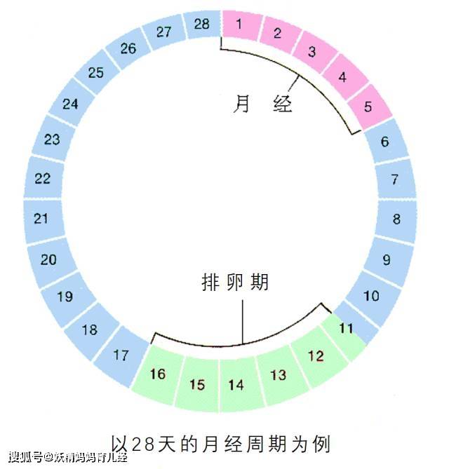 原创如何计算排卵期?妇科医生:女人身上的8个变化,提示你排卵了