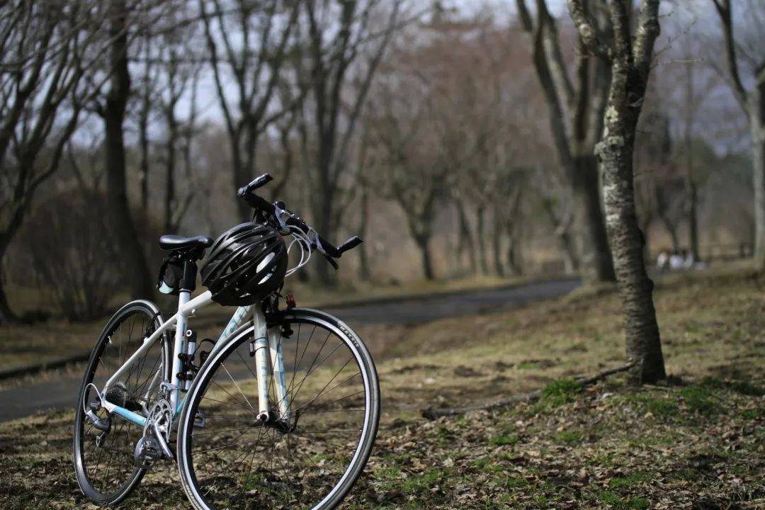 日本绝美的6条自行车道,值得收藏!