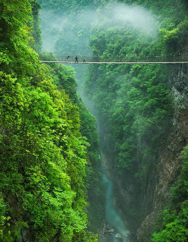 《中国国家地理》评选为华中药库,天然氧吧世