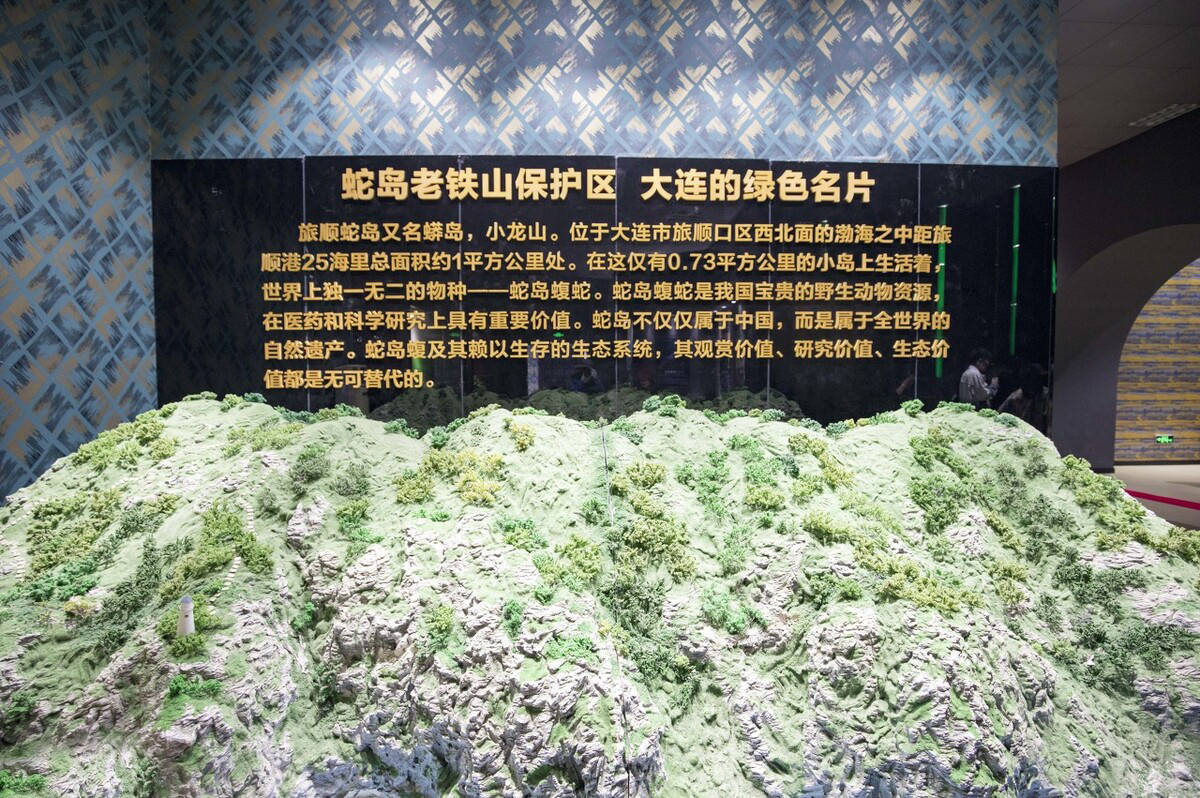 大连蛇岛位于辽宁省蛇岛老铁山国家自然保护区内,距最近的陆地七海里