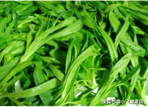 面条菜 面条菜是一种药食两用的野菜,有润肺止咳,凉血止血的功效,是一