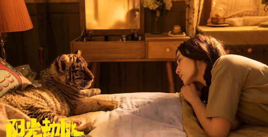 《阳光劫匪》观后感:马丽的独角戏