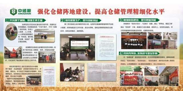 原创中储粮河南分公司:典型引领 互学互鉴 抓点带面 推进基层党建工作