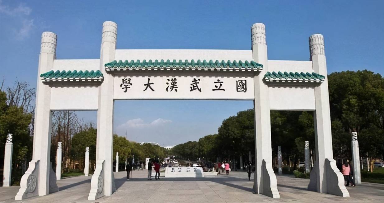 武汉大学何跃明团队因为图片问题文章被撤回