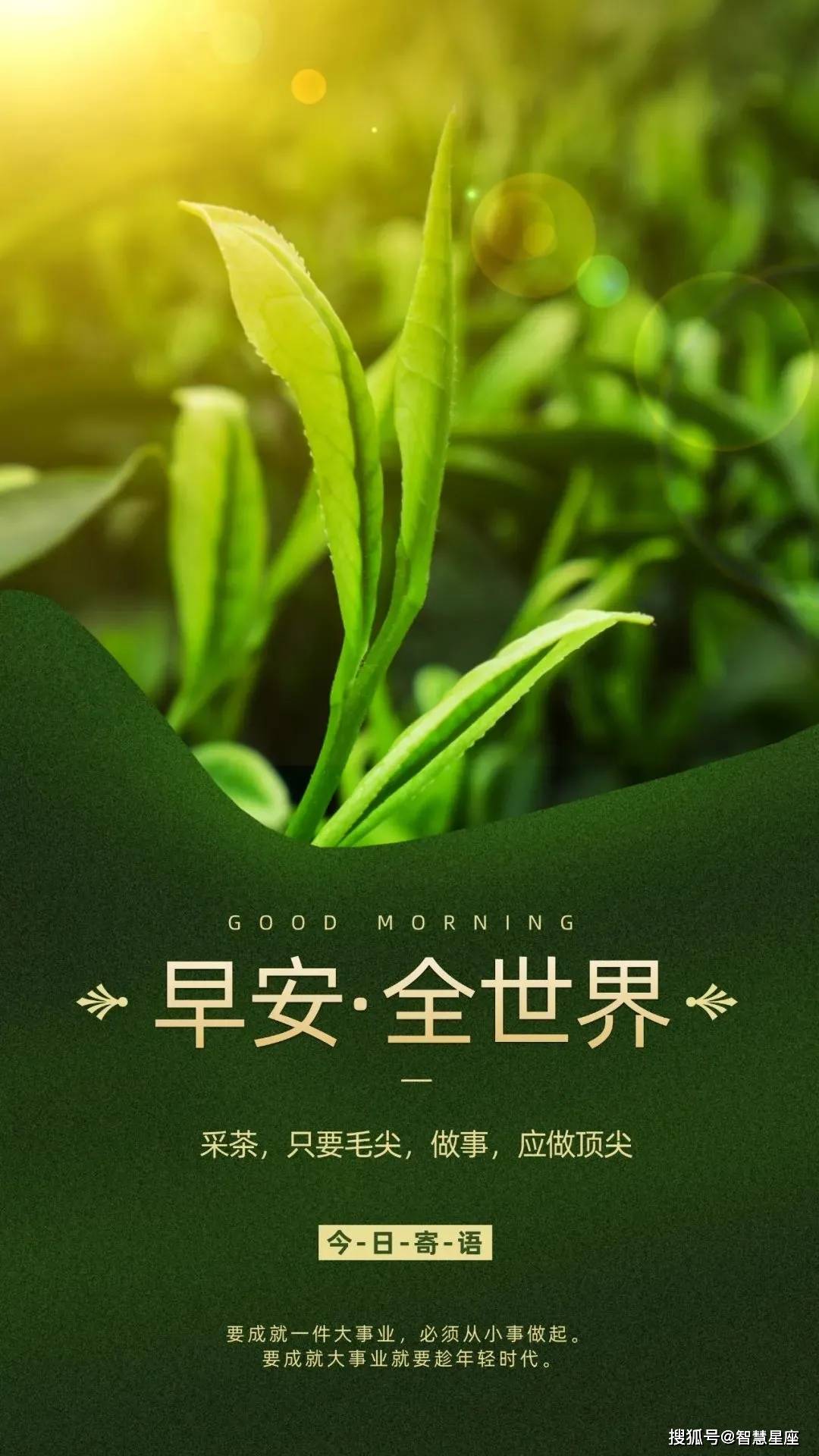 原创5月15日周六分享朋友圈很漂亮的早上好问候图片很温馨的早安问候