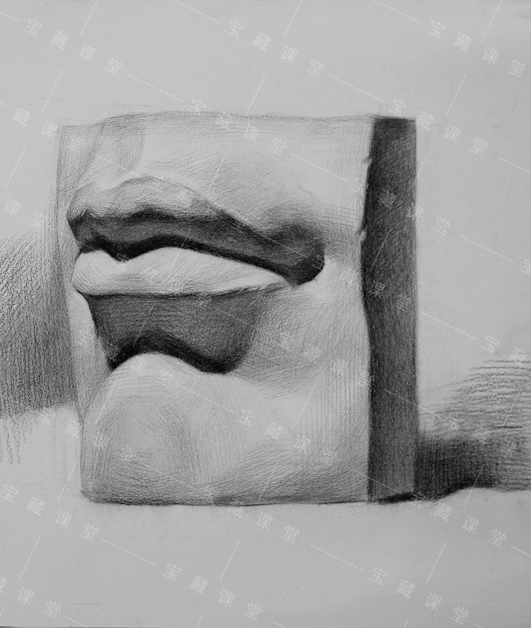 素描石膏像嘴巴课程训练分享含步骤图宝藏美术网校
