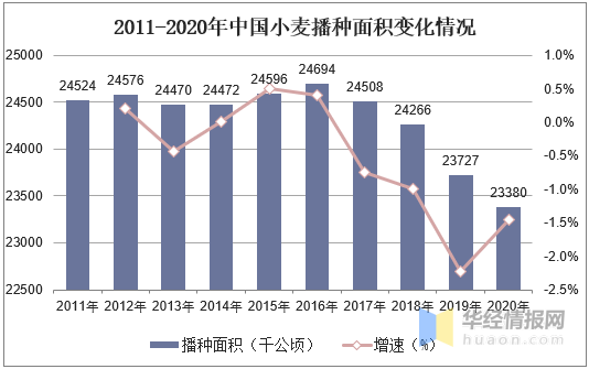 全球及中国小麦发展现状分析,中国小麦产量居世界前列「图」_华经