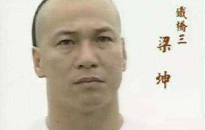 洪家铁线拳.