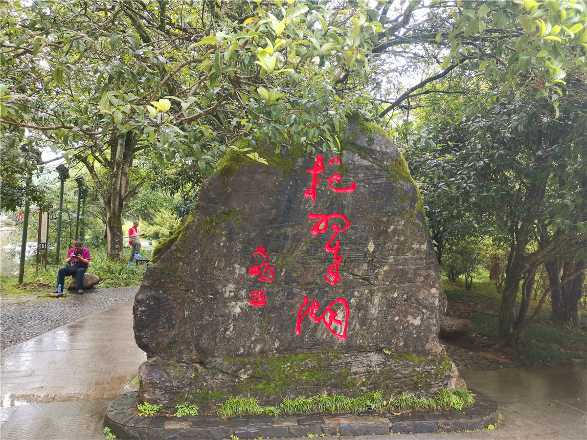 美丽吉安:井冈山挹翠湖公园风景如画