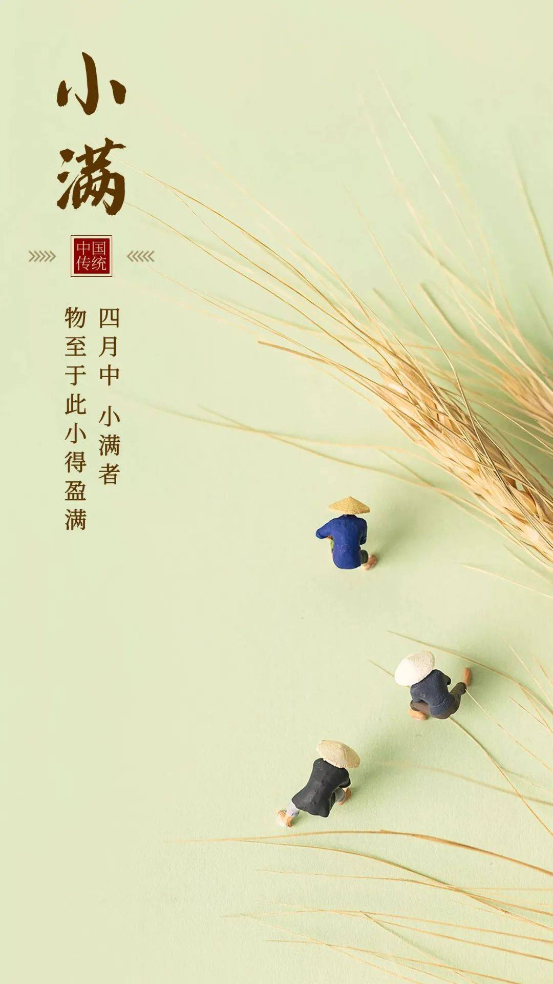 小满| 将满未满,最美小满