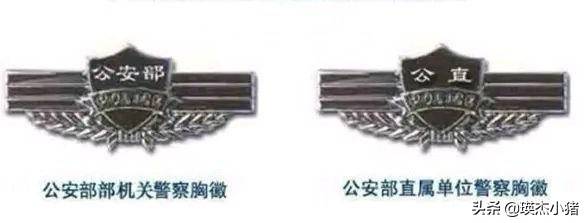 2,公安部直属单位(如长江航运公安局,公安院校等),其胸徽标识是"公直