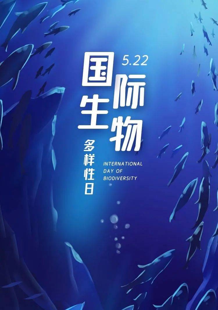 国际生物多样性日 | 嗨!用屁股"比心"的那位!你在青海