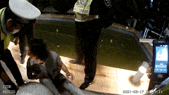 240_135gif 动态图 动图