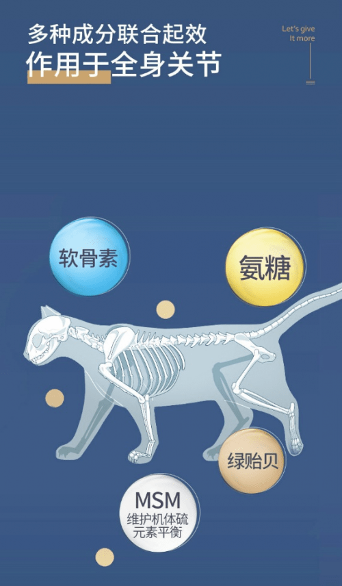 你知道折耳猫的关节隐患吗-mag关节生医护版呵护它