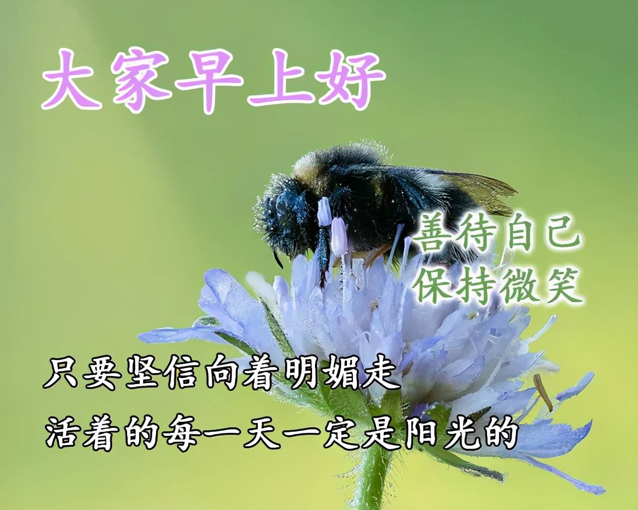 5月25星期二漂亮早上好问候表情图片带字 周二最美早安问候祝福语图片