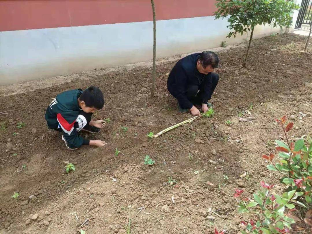 汝南县梁祝镇罗庄小学:小雨过后,种花忙