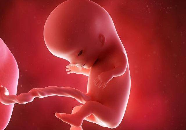 怀孕3个月胎儿有多大?胎儿会动吗?孕妈需要注意什么?不妨了解