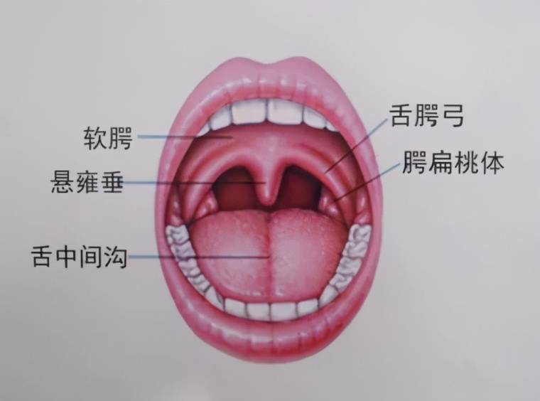 老是发炎的扁桃体可以摘除吗