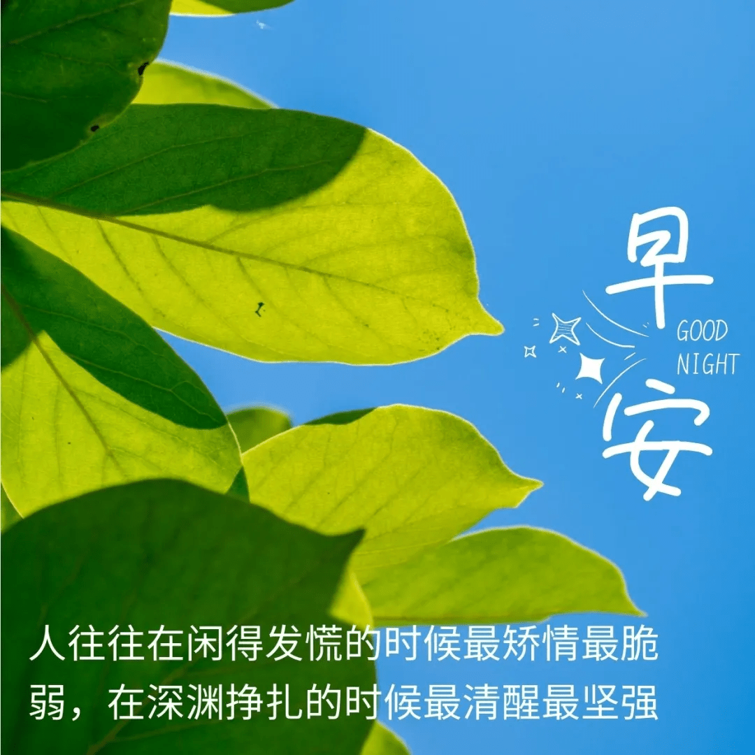 原创精选朋友圈温馨祝福词语,祝福图片,愿你身体健健康康,早安!