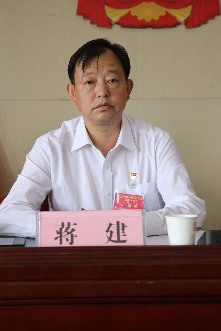 会议最后,镇党委书记蒋建作总结讲话.