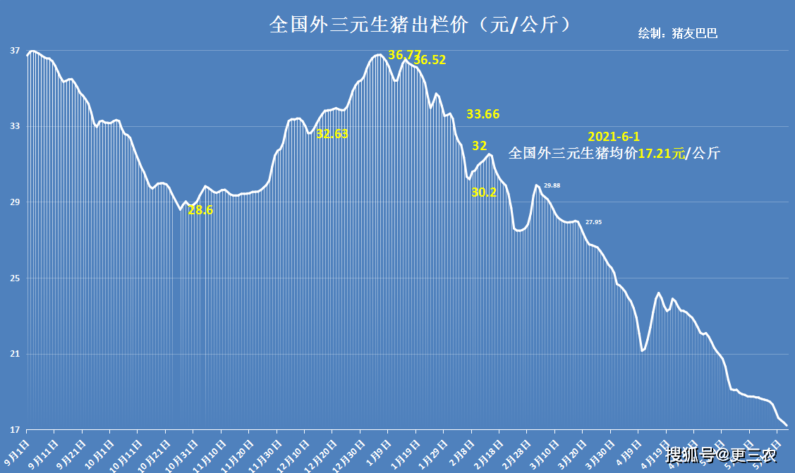 猪价,粮价预警:6月1日,今日国内生猪,玉米,小麦行情已