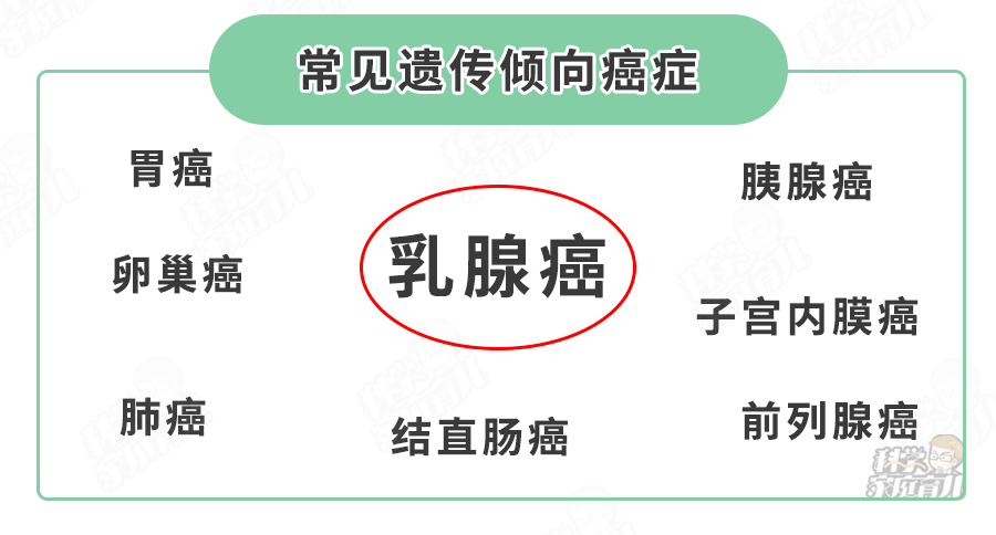 目前,已被证明具有明显遗传倾向的癌症有30余种,其中以下 8种比较常见