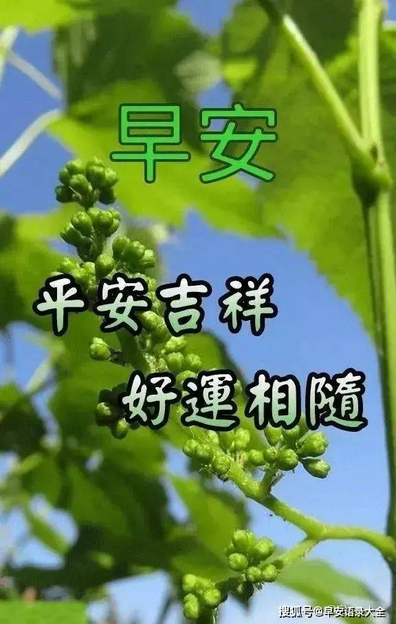 8张特别好看的风景早上好带字图片最新夏日早安问候语图片精选