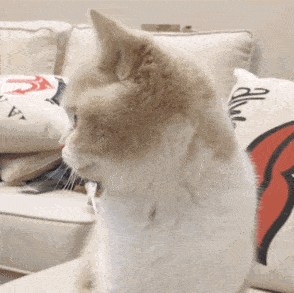 来自陕西的排面送上 【兵马俑健康码皮肤】 