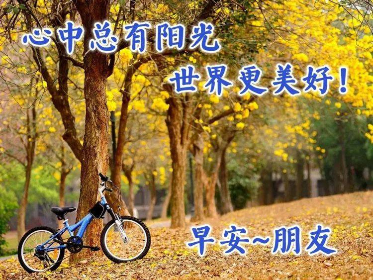 原创温馨早上好祝福词句,早安,愿你有个美好一天