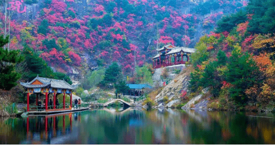 总人口6万人 为河南省第一版图大镇 境内有5a景区白云山,4a景区木札岭