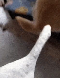 250_324 竖版 竖屏