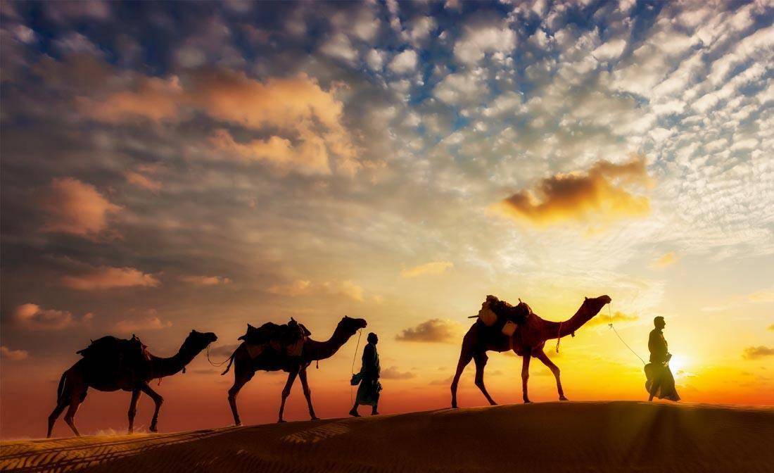 原创划重点:骆驼爬大漠是真实的丝路吗?三个问题纠正对丝路的误解