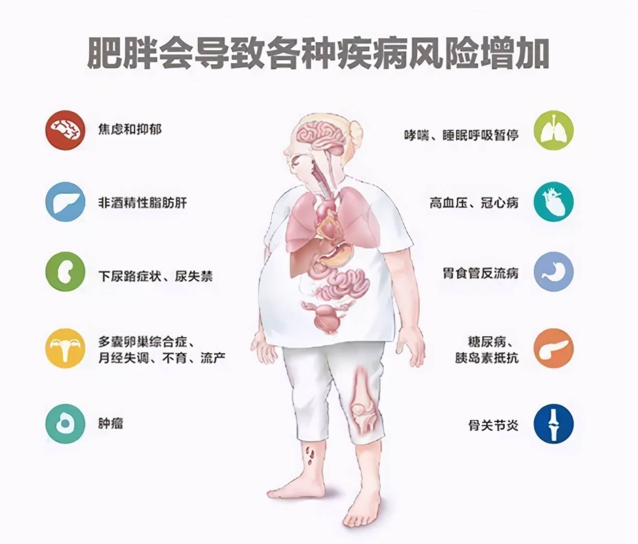 百植资讯6亿中国人超重和肥胖解决肥胖问题迫在眉睫