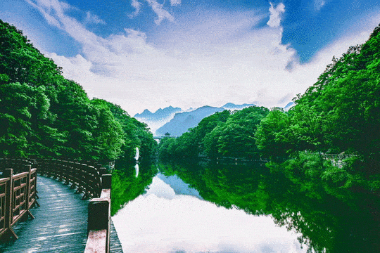 540_360